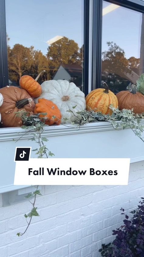 Fall Flower Boxes Window, Fall Window Boxes With Pumpkins, Fall Flower Boxes, Pumpkin Song, Fall Window Boxes, Fall Windows, Fall O, Window Box Flowers, Fall Outdoor Decor