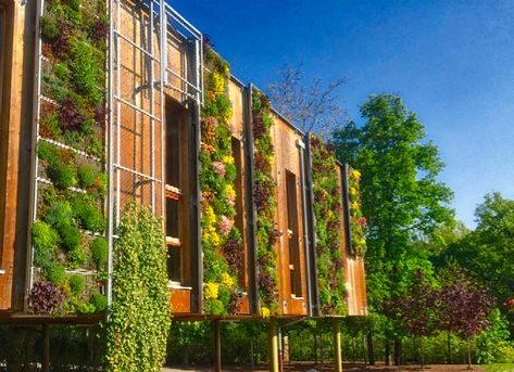 Green walls on a French School - Green infrastructure in action Green Infrastructure, Garden Nails, Garden Tattoo, Green Roofs, Living Walls, Sustainable City, Green Walls, Plant Science, Natural Building