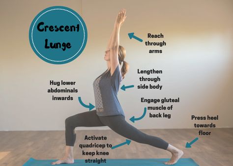 Crescent Lunge Yoga Pose, Lunge Stretch, Lunges Benefits, Energizing Yoga Poses, Yoga Sanskrit, Crescent Lunge, Energizing Yoga, Therapeutic Yoga, Gluteal Muscles