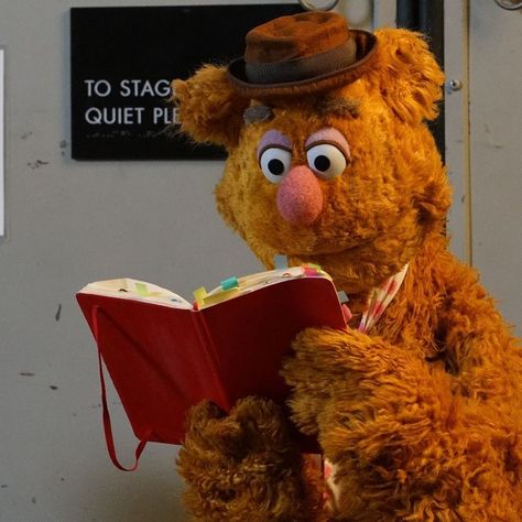 Celebrities Reading, Fozzie Bear, Sesame Street Muppets, Silly Puppets, Fraggle Rock, The Muppet Show, Miss Piggy, Puppet Show, Kermit The Frog