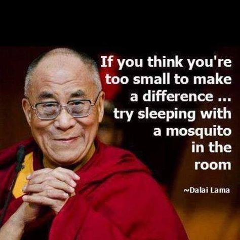 If you Think you're too Small  To make a Difference  ... try Sleeping with a Mosquito in the Room!  . Dalai Lama . #athingaday #You #Think #Too #Small #Make #Difference #Try #Sleeping #Mosquito #Room March 10 2019 at 10:10AM at http://bit.ly/2XNwOiV Dalai Lama Quotes, Buddhism Quote, Buddhist Quotes, Dalai Lama, Quotable Quotes, Old Man, A Quote, Wise Quotes, Make A Difference