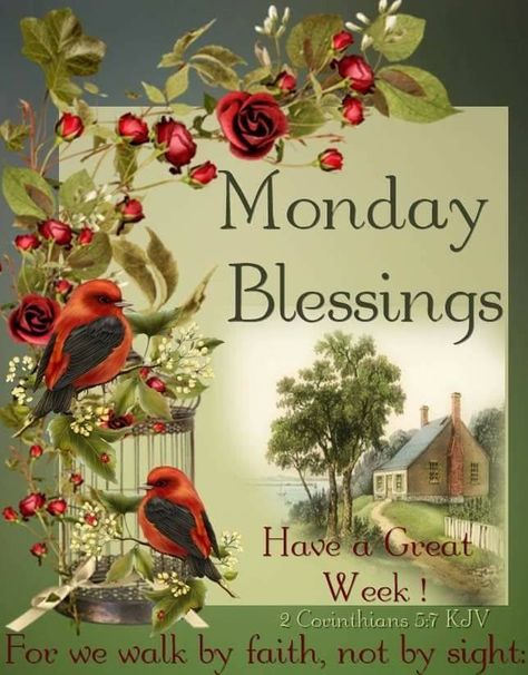 Good morning sister have a nice day and happy new week Blessed Monday And Week, Happy Monday Pictures, Have A Blessed Monday, Marvelous Monday, Happy Monday Images, Monday Greetings, Monday Wishes, Monday Pictures, Happy Monday Quotes