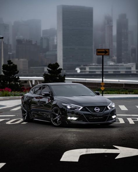 Nissan Maxima Nissan Maxima Modified, Black Nissan Maxima, Nissan Altima 2023, Honda Civic Car, Civic Car, Jdm Wallpaper, Reliable Cars, Car Projects, Car Ideas