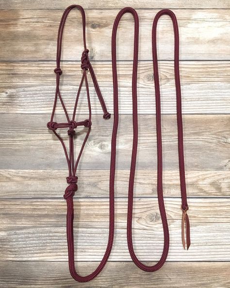 Horse Rope Halter, Halter Horse, Horse Tack Diy, Knot Rope, Horse Halter, Rope Halter, Lead Rope, Double Braid, Horse Tack