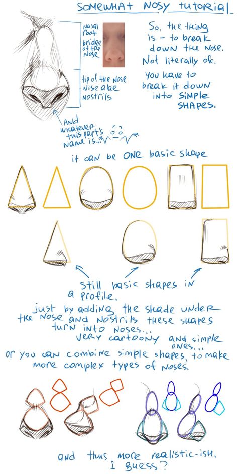 Draw Noses, 얼굴 드로잉, Nose Drawing, Anatomy Sketches, Figure Drawing Reference, Anatomy Reference, Anatomy Art, Art Tutorials Drawing, Digital Art Tutorial