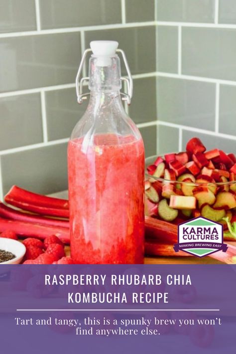 Rhubarb Kombucha Recipe, Kombucha Diy, Fermentation Station, Fruity Drink Recipes, Kombucha Recipes, Fermented Drinks, Kombucha Flavors, High Tea Food, Kombucha Scoby