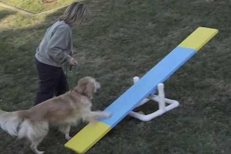 9 DIY Dog Agility Course Plans You Can Make Today! (With Pictures) | Pet Keen Diy Dog Agility Course, Dog Agility Diy, Dog Agility Course Diy, Pekingese Puppy, Dog Agility Course, Agility Training For Dogs, Dog Yard, Dog Playground, Agility Training