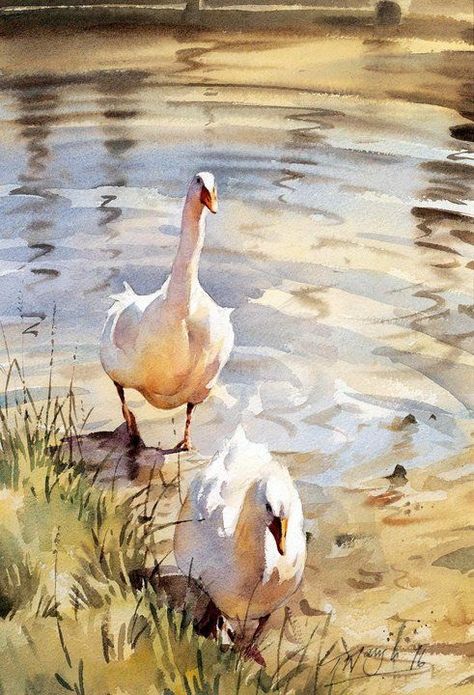 Trevor Waugh | A is for "Art" | Pinterest www.pinterest.com491 × 720Search by image Trevor Waugh. Via Kate Kos Art 수채화 그림, Watercolor Artists, Arte Animal, Watercolor Inspiration, Mini Canvas Art, Watercolor Bird, Watercolor Techniques, Watercolor Animals, Swans