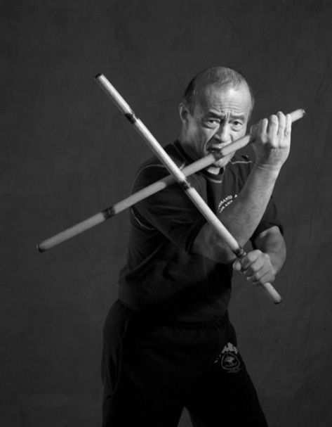 Systema Martial Art, Dan Inosanto, Kali Martial Art, Kali Sticks, Kali Escrima, Filipino Martial Arts, Self Defense Martial Arts, Jeet Kune Do, Hand To Hand Combat