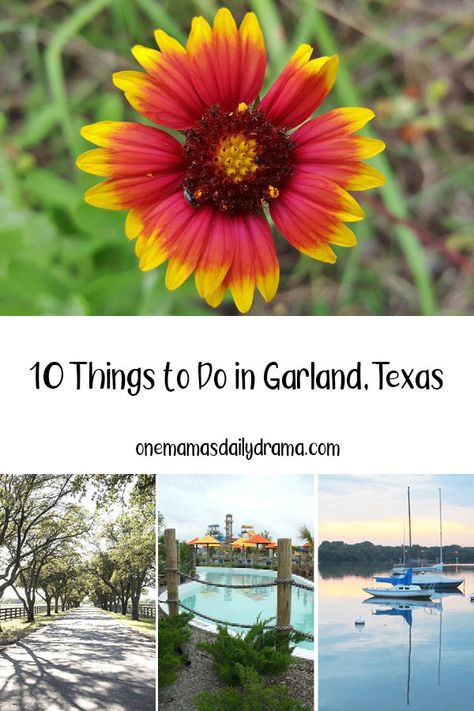 Staycation Ideas Family, Garland Texas, Bucket List Family, Wave Pool, The Suburbs, Texas Travel, Fun Family Activities, Nature Preserve, Picnic Area