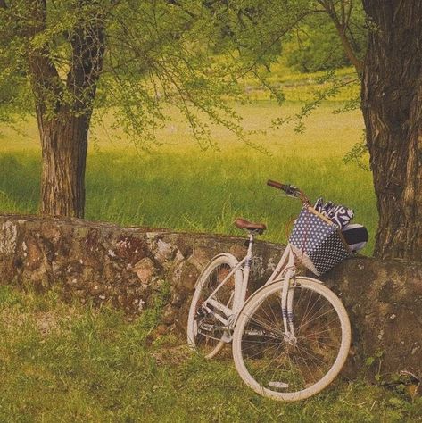 The Grass, Bicycle, Wall, White