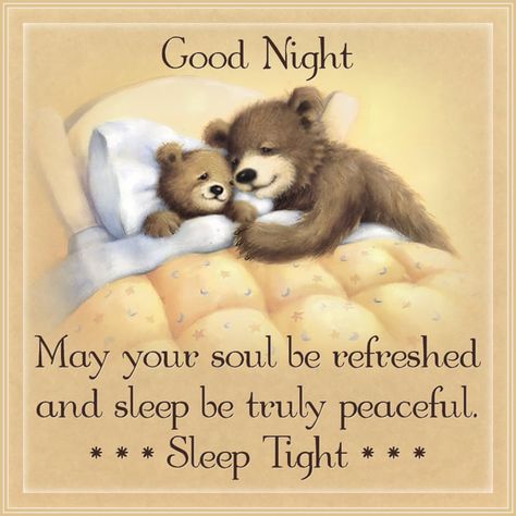 Nighty Night Quotes, Cute Good Night Messages, Good Night Message, Good Night Blessings Quotes, Showing Affection, Teddy Bear Quotes, Good Night Friends Images, Good Night Prayer Quotes, New Good Night Images