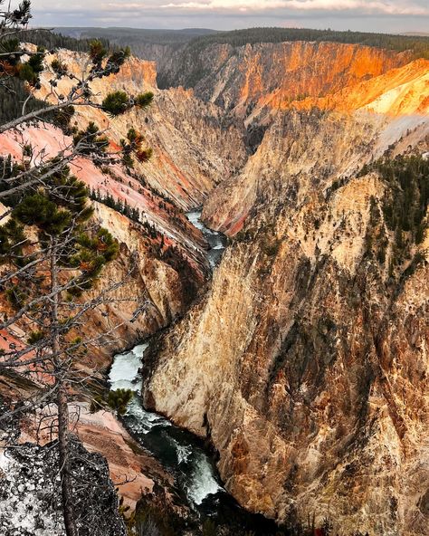 Wyoming I LOVE you! 🌿🦬🐎🏔️🫶🏽🥾 Wyoming, I Love You, Love You