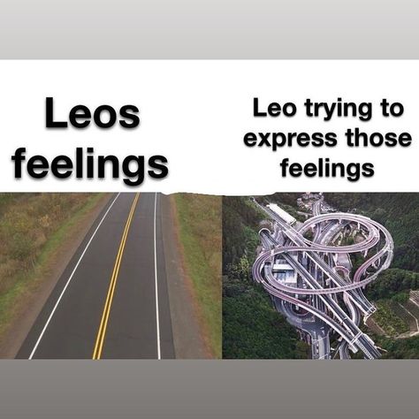 Facts About Leo, Leo Zodiac Tweets, Bio Quotes Short, Leo Aesthetic, Leo Description, Zodiac Leo Art, Leo Energy, Leo Memes Funny, Leo Season Memes Funny