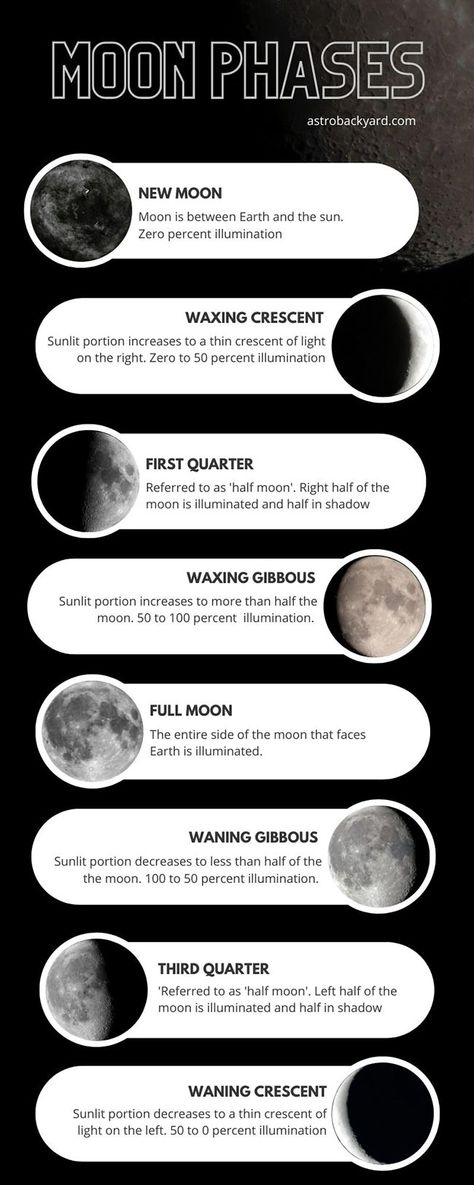 Descriptions of each phase of the moon from new moon to full. Moon Phases Information, Moon Phases Photography, Moon Phases Couple, Phases Of The Moon Project, Moon Phase Photography, Moon Phases Aesthetic, Astronomy Notes, Moon Infographic, 8 Phases Of The Moon