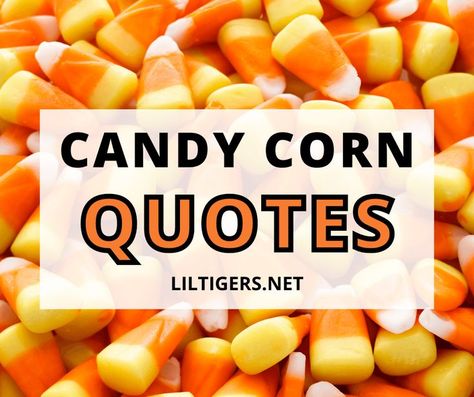 35 Best Candy Corn Quotes and Sayings Candy Corn Ideas Halloween Fun, Candy Corn Party Ideas, Candy Corn Theme Party, Halloween Candy Quotes Funny, Cute Candy Corn Sayings, Candy Corn Quotes Funny, Candy Corn Meme Funny, Halloween Candy Sayings, Halloween Candy Quotes