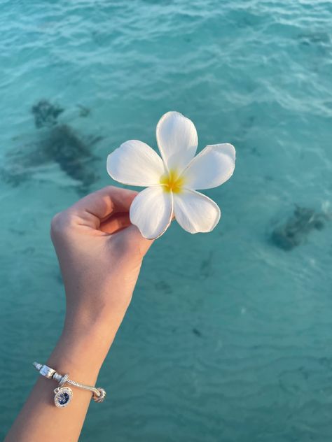 جزر المالديف, Idee Cricut, Mermaid Aesthetic, Nothing But Flowers, Ocean Vibes, Summer Wallpaper, Summer Dream, Tropical Vibes, Summer Pictures