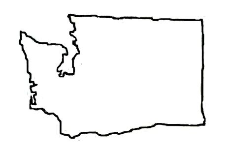 Washington State Drawing, Washington Tattoos, Washington State Tattoo, Washington State Tattoos, Washington State Outline, Washington Tattoo, Seattle Trip, Getting A Tattoo, Henna Party