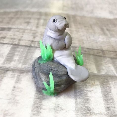 Manatee! ✨ He looks like he’s waiting for a friend to arrive - or maybe that he is surprised, bemused and/or flattered to discover that… Clay Manatee, Forest Project, Interior Items, Rain Forest, Cute Clay, Clay Sculpture, Clay Charms, Clay Ceramics, Air Dry Clay