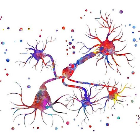 Neurotransmitter release mechanisms Neurotransmitters Art, Business Entrepreneurship, Art References, Hardcover Notebook, Hardcover Journals, Wood Print, Art Boards, Photographic Print, Poster Wall Art