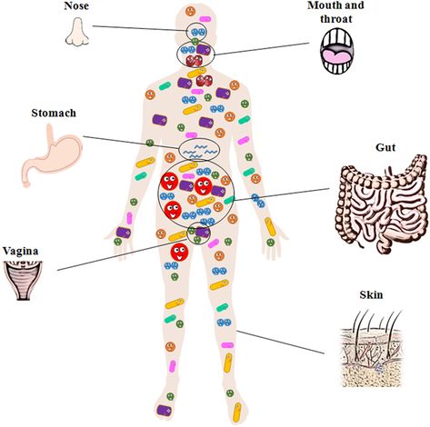 We Are Never Alone: Living with the Human Microbiota · Frontiers for Young Minds Black Stuff, Food For Digestion, Women Health Care, Amazing Body, Feminine Health, Gut Microbiota, Help Digestion, Probiotics Supplement, Bacterial Infection