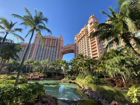 Atlantis Bahamas (Marriott Bonvoy) and The Cove all suite hotel review - not just for families - Turning left for less Atlantis Bahamas, Marriott Bonvoy, Virgin Atlantic, The Cove, Paradise Island, Heathrow, Water Slides, Tower Bridge, Atlantis