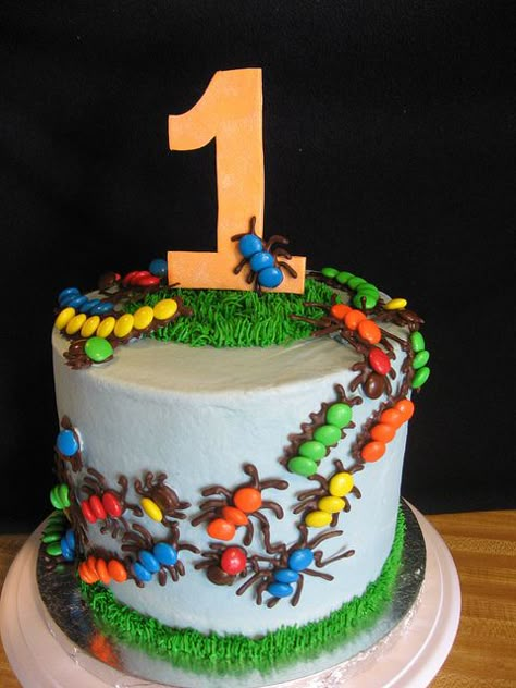 bug cake and fall slide 006 | Flickr - Photo Sharing! Bug Birthday Cakes, Bug Birthday Party, Bug Cake, Bug Party, Gateaux Cake, Kids Cakes, Boy Birthday Cake, Cool Cakes, Cakes For Boys