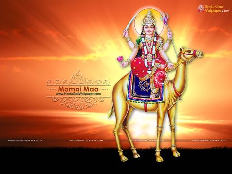 Momai Maa Photo, Momai Maa Photo Hd, Momai Mataji, Dashama Photo Hd, Momai Maa, Nav Durga Image, Maa Image, Wallpaper Website, Wallpapers Pictures