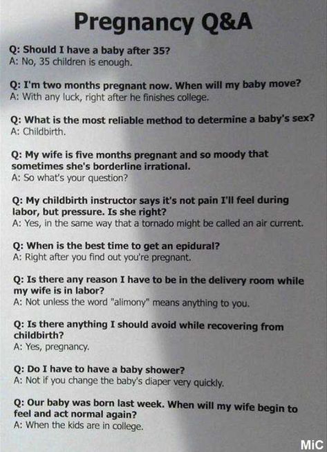 Five Months Pregnant, Pregnancy Jokes, Pregnancy Memes, Finish College, Broken Home, Snapchat Text, Image Macro, Text Posts, Having A Baby