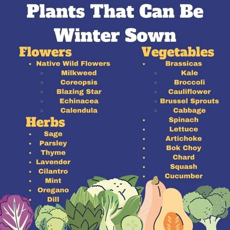 Garden Ideas Winter Cold Weather, Plants That Grow In The Winter, Seeds To Plant In January, Vegetables To Plant In January, Plants To Grow In Winter, Flowers To Grow In Winter, Fall/winter Gardening, What To Plant In The Winter, Vegetable To Grow In Winter