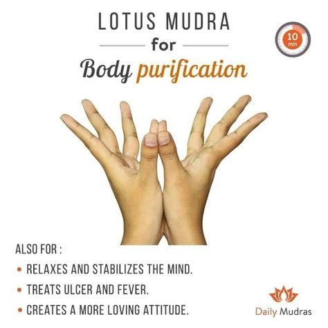 Chakra Recipes, Meditation Mudras, Lotus Mudra, Body Purification, Healing Reflexology, Yoga Mudras, Hand Mudras, Chakra Health, Yoga Facts