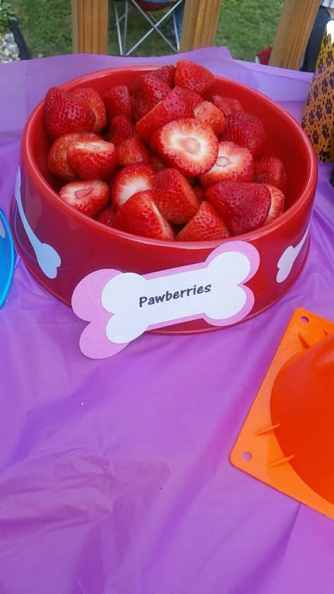 Girl Paw Patrol Party, Skye Paw Patrol Party, Lila Party, Paw Patrol Party Ideas, Dog Themed Birthday, Paw Patrol Birthday Theme, Birthday Paw Patrol, Puppy Pawty, Dog Themed Birthday Party