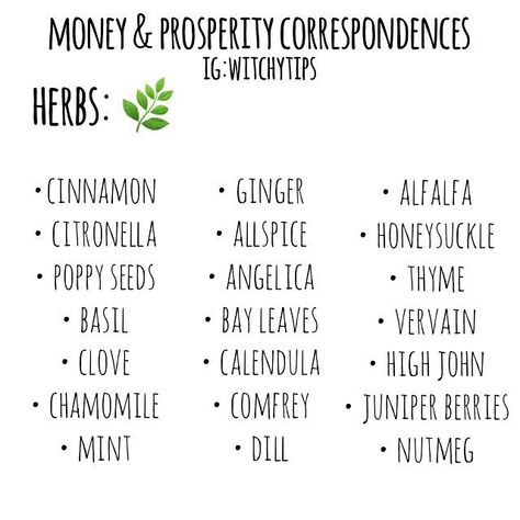 Tips for Witches Everywhere! ✨ on Instagram: “💰💚 MONEY & PROSPERITY CORRESPONDENCES! 💚💰 Use this list and incorporate it into making money-drawing oils, charm bags, jars, candle…” Money Prosperity, Instagram Money, Prosperity Spell, Magickal Herbs, Witch Herbs, Green Witchcraft, Wiccan Magic, Magic Herbs, Magical Herbs