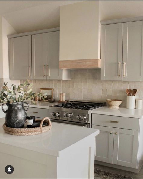 Shiplap Kitchen, Dublin House, Diy Shiplap, Beige Kitchen, Classic Kitchen, Vent Hood, Grey Kitchen Cabinets, Kitchen Inspiration Design, Big Dreams