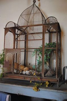 Pajareras decorativas More Pins Like This At FOSTERGINGER @ Pinterest Repurposed Bird Cage Ideas, Bird Cage Ideas, Vintage Bird Cage Decor, Bird Cage Design, Antique Bird Cages, Vintage Birdcage, Gilded Cage, Bee Houses, Pet Bird Cage