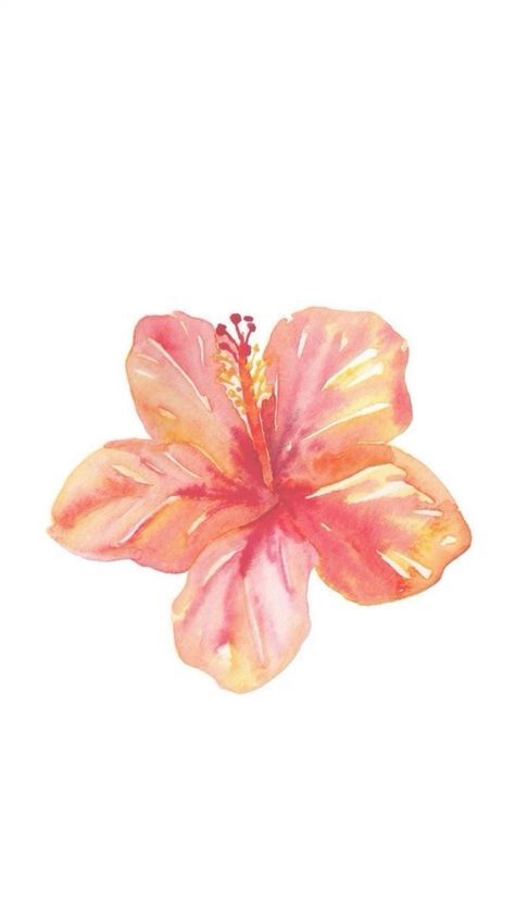 Cute Hibiscus Wallpaper, Pink Ipad Widget Ideas, Habisquis Flower Wallpaper, Pink Summer Background, Red Summer Wallpaper, Graphic Design Flowers, Wigitsmith Pictures, Hibiscus Pfp, Hibiscus Wallpaper Iphone