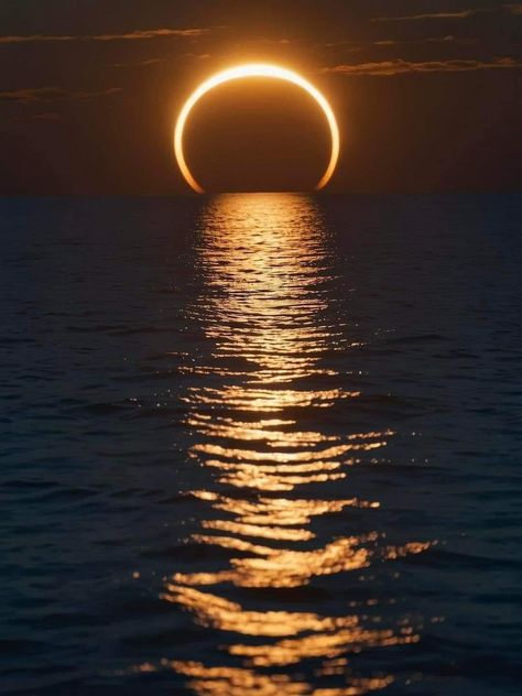 Beautiful Moon Pictures, Moon Eclipse, Moon Pictures, Beautiful Moon, Sun Moon, Natural Phenomena, Beautiful Nature, Moon