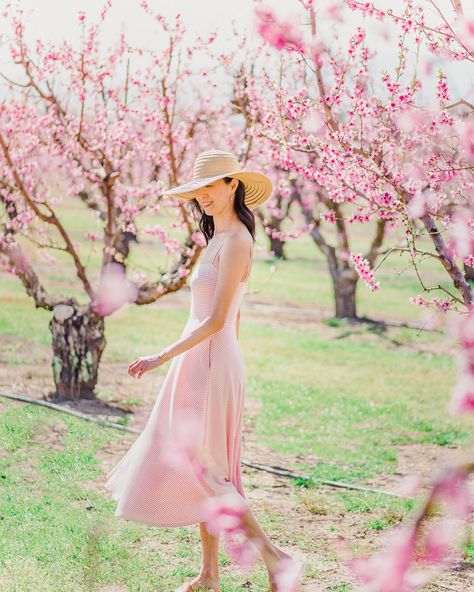 Peach Blossom Photoshoot, Orchard Photoshoot, Cherry Blossom Photography, Faerie Forest, Blossom Photoshoot, Blossom Photography, Apple Garden, Garden Photoshoot, Peach Orchard