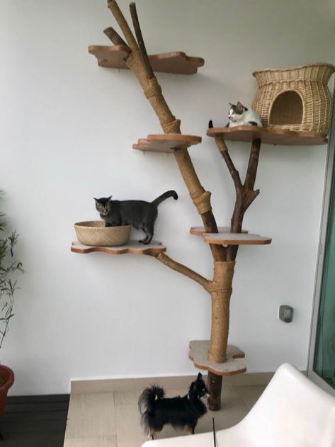 Cat Trees Diy Easy, Custom Cat Trees, Unique Cat Trees, Cat Habitat, Cat Climbing Wall, Pet Cafe, Katt Grejer, Niche Chat, Cat Patio