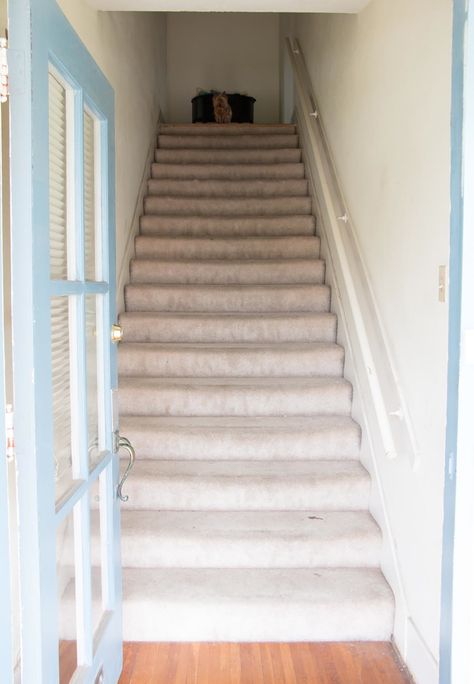 Real Life Rental Challenge: How One Couple Tackled a Dingy Carpeted Staircase http://www.apartmenttherapy.com/rental-solutions-for-old-dirty-carpeted-entryway-stairs-233359?utm_term=Real%20Life%20Rental%20Challenge%20How%20One%20Couple%20Tackled%20a%20Dingy%20Carpeted%20Staircasehttp://buff.ly/2aucSZ5 Stair Hacks, 1930s Apartment, Carpeted Staircase, Apartment Stairs, Grey Floors, Carpet Staircase, Entryway Stairs, Apartment Entryway, Painted Stairs