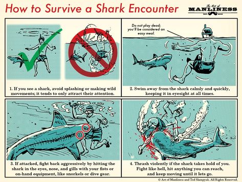 Art Of Manliness, Sup Yoga, Survival Life Hacks, Learn Facts, Survival Techniques, Survival Life, How To Survive, Wilderness Survival, Simple Life Hacks