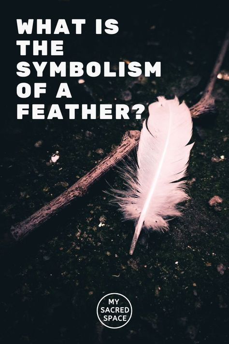 Have you found feathers in unexpected places recently? And are you asking what does the feather symbolizes? Such incidents can have different meanings. Maybe it’s a message from the divine beings or from someone you lost. But what message do feathers carry? There can be various interpretations of getting feathers. #feather #feathertatoos #feathercoloring #feathercolorsandmeanings #feathercolors #feathercolortatoo #feathercolormeaningwitch #feathercolorful #featheranimals #featheranimaltatoo What Do Feathers Symbolize, Crafts Using Feathers, Feather Quotes Inspiration, Feather Quotes Short, What To Do With Feathers, Meaning Of A Feather, Crafts With Feathers, Feather Crafts Ideas, Decorating With Feathers