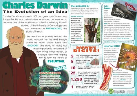 | STEM Carl Linnaeus, Famous Scientist, Theory Of Evolution, Stem Learning, Natural Selection, Background Information, Charles Darwin, Fact Sheet, Health And Safety