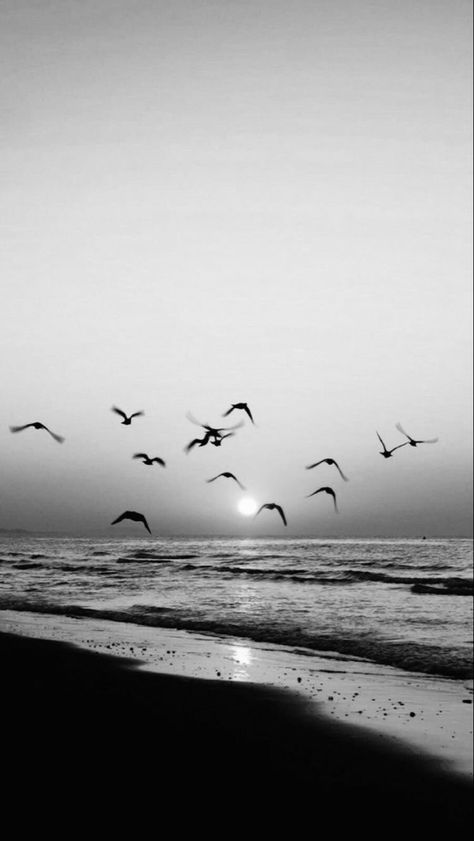 Beach Black And White Aesthetic, Beach Aesthetic Black And White, Black And White Ocean, Black And White Photo Wall, Black And White Beach, Fashion Fails, Black And White Landscape, Gray Aesthetic, Black Wallpaper Iphone