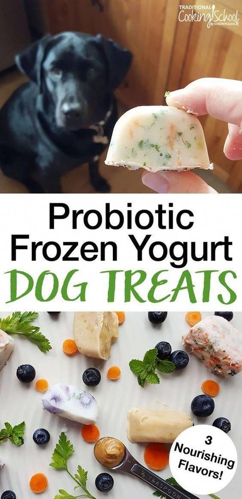 Yogurt Dog Treats, Homemade Dog Cookies, Easy Dog Treat Recipes, Frozen Dog Treats, Dog Biscuit Recipes, Easy Dog Treats, Healthy Dog Treats Homemade, Dog Breath, Dog Treats Homemade Recipes