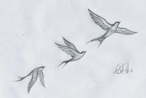 3 Sparrow Tattoo, 3 Birds Flying Tattoo, Two Sparrows Tattoo, Tiny Sparrow Tattoo, Three Birds Flying Tattoo, Sparrow In Flight Tattoo, Pair Of Swallows Tattoo, Swallow Bird Tattoos, Tattoo Homme