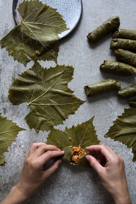 Dolmades Recipe, Dolma Recipe, Stuffed Vine Leaves, Stuffed Grape Leaves, Greek Flavors, Whipped Feta, Food Photography Tips, Vine Leaves, Party Food And Drinks