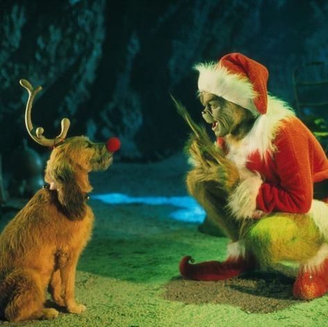 Max From The Grinch, Immagini Grinch, The Grinch Dog, Funny Christmas Wallpaper, Arte Pop Up, Der Grinch, The Grinch Movie, Mr Grinch, Grinch Who Stole Christmas