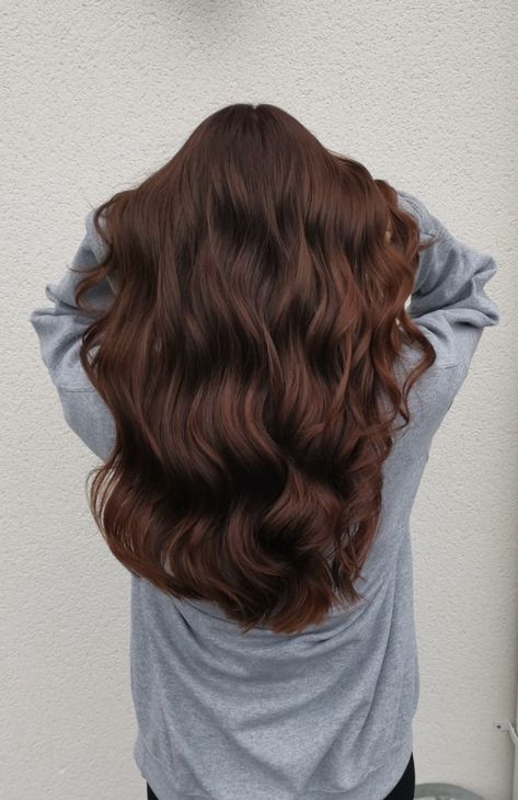 Brown Hair For Winter Brunettes, Long Dark Auburn Hair With Layers, Red Ish Brown Hair Highlights, Tint Of Red Hair Dark Brown, Roasted Chestnut Hair Color, Deep Brown Hair Red Tint, Red Undertone Brunette, Auburn Undertone Hair, Light Brown Hair With Red Tones