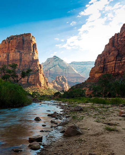 Zion National Park Tattoo, National Park Pictures, Zion National Park Photography, Rocky Desert, Zion Park, Mount Zion, American National Parks, Zion National Park Utah, National Parks Photography